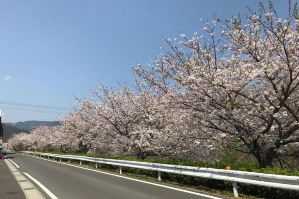 Business Hotel Kawakami Kumano Dış mekan fotoğraf